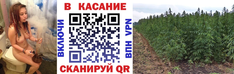Как найти закладки Баксан omg зеркало  Меф  APVP  МЕТАДОН 
