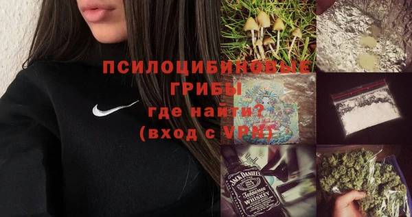 дживик Баксан